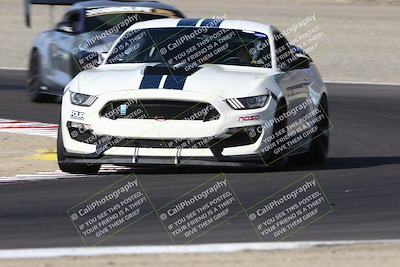 media/Aug-23-2024-Speed Ventures (Fri) [[92f1efc5e7]]/Red/Session 1 (Turn 3)/